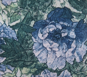 轉(zhuǎn)移印花滌綸紡粘無紡布